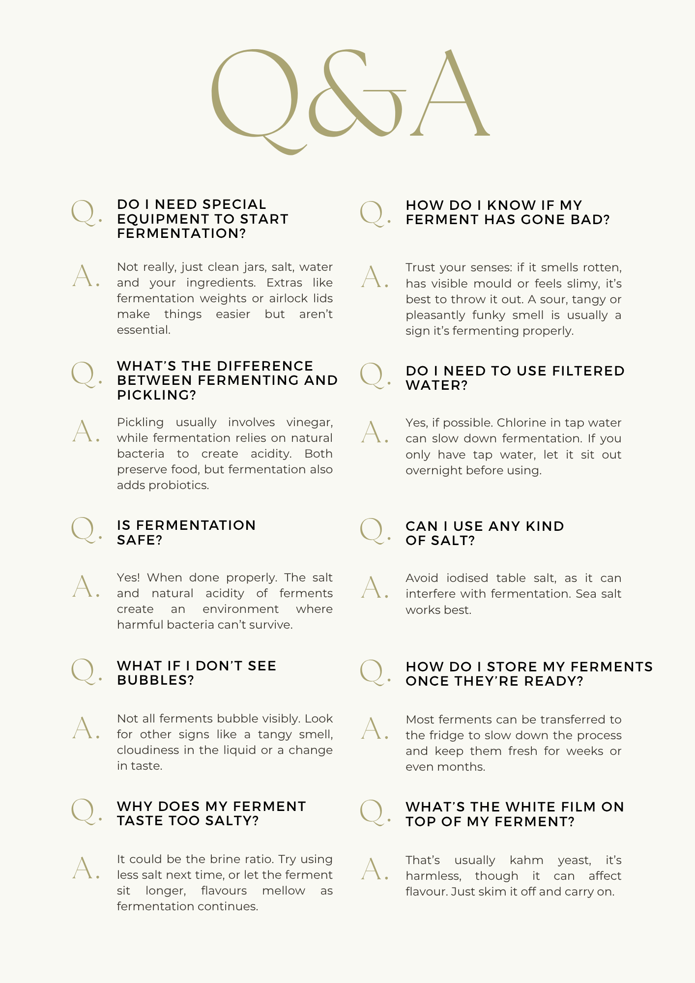 FERMENTATION BASICS |Gluten, Dairy & Refined Sugar Free