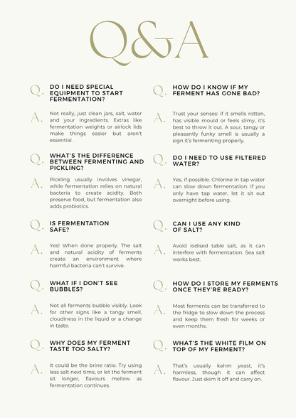 FERMENTATION BASICS |Gluten, Dairy & Refined Sugar Free